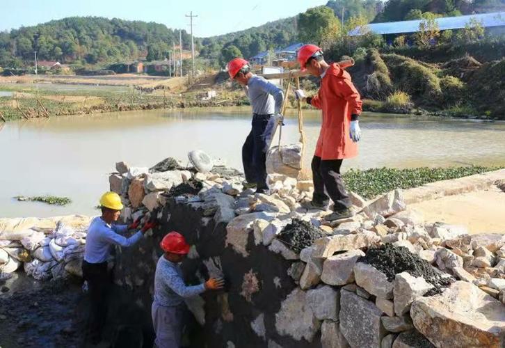 徐桥香山河:东湖岸坡披新妆_太湖县人民政府