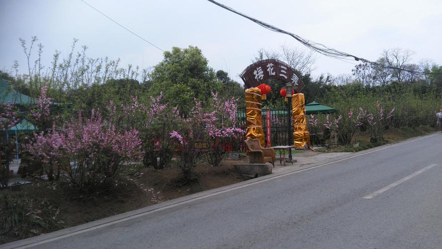 成都三圣花乡--秀丽东方,幸福梅林