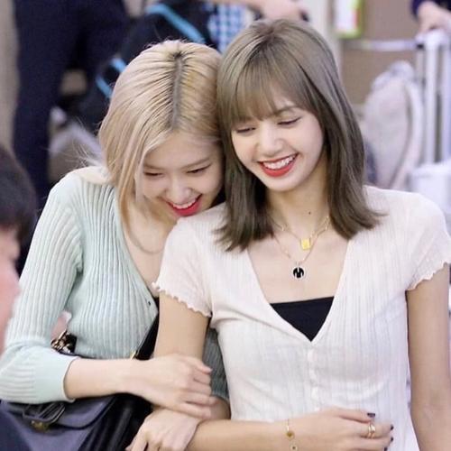 五花肉lisarose图片头像大全v10