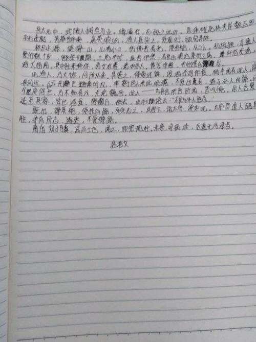 八(2)班书写比赛作品展2《桃花源记》