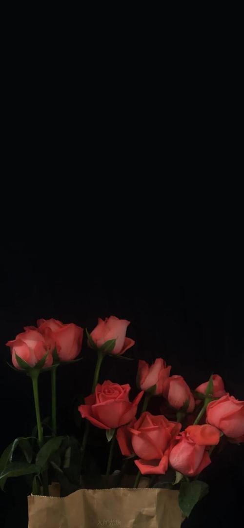 黑色系冷淡风の壁纸