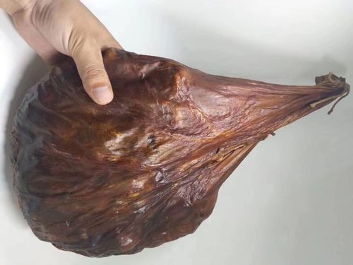 鹿胎粉的功效与作用适合什么人吃