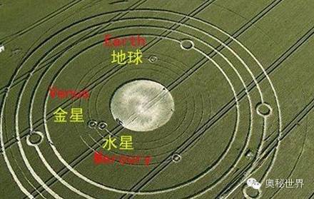 诡异麦田怪圈:人为还是"天造"?