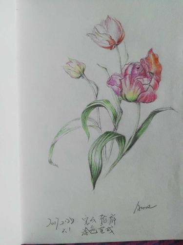 这是学习之前临摹的作品