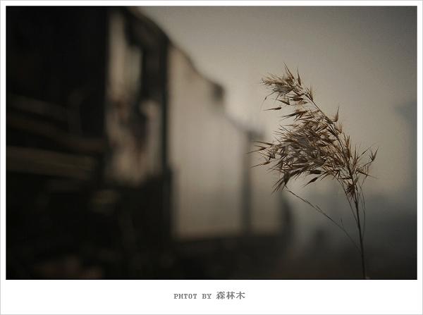 标题:岁月的痕迹