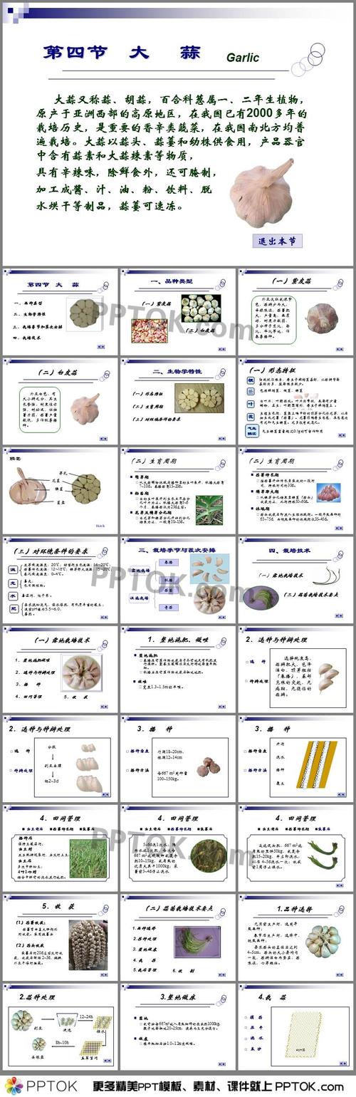 大蒜栽培知识ppt 这是大蒜栽培知识ppt,包括了大蒜简介,品种类型,生物