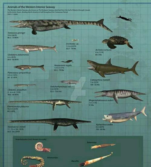 逝去的海洋巨怪巨齿鲨,到底有可怕?75吨重的巨兽,一颗