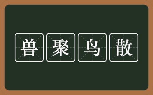 兽聚鸟散是什么意思?