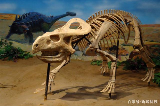 科学家找到一块恐龙化石,无意发现1.5mm弹孔,是谁开的