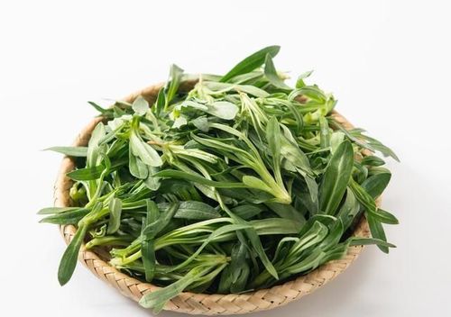 春天挖野菜送你70种野菜图片大全教你认识不同的野菜和吃法