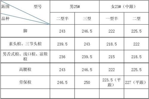 楦跖围与脚跖围关系