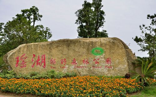 瑶湖森林公园