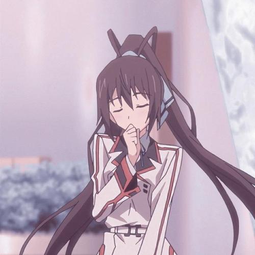 《无限斯特拉托斯》织斑一夏和篠之之箒,让人羡慕的