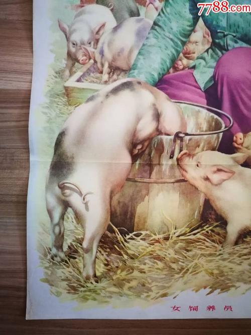 《女饲养员》(金梅生大师绘制!)【经典年画!】