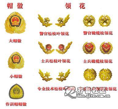 中国武警部队07式服装图介