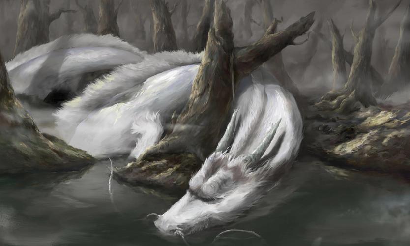 白龙|插画|商业插画|iambigleaf - 原创作品 - 站酷