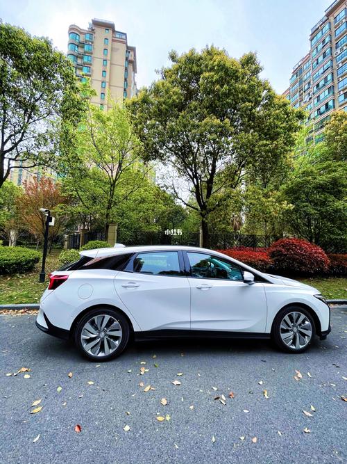 喜提我的蓝朋友小白白—别克微蓝6_混油_音响_轿跑_suv_驾照_运动