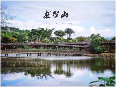 longtaishan龙台山生态园相约一起赏樱花去吧趁着阳春三月春日赏樱的