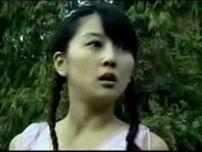 红蝎子之带泪梨花