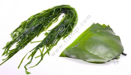裙带菜和海带区别 裙带菜和海带有什么区别