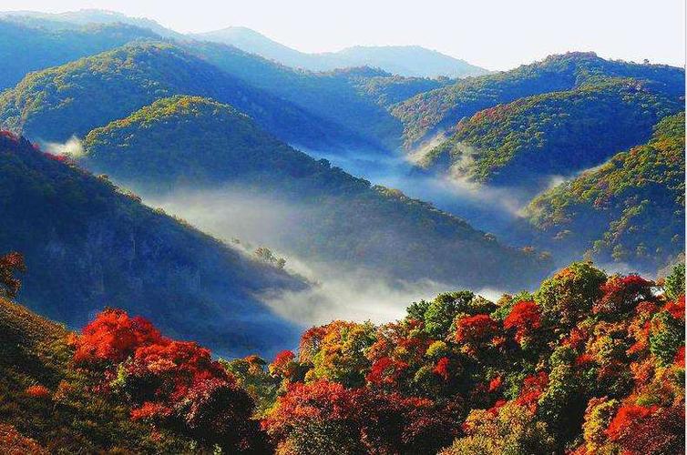 首页 玩转黄河 旅游景区 延安万花山风景区  aaa   收藏