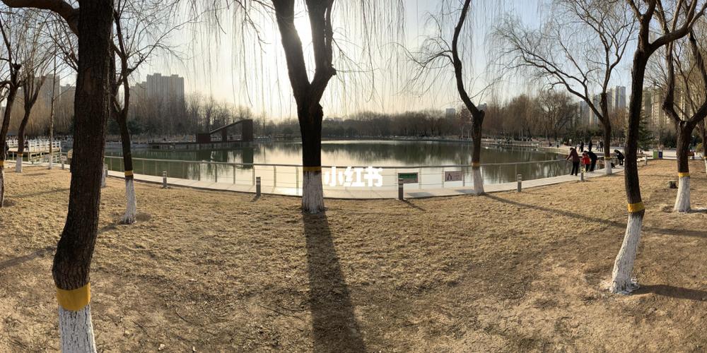 石家庄东环公园一日游_周末_周末去哪儿_出行_出行攻略