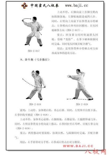 [转载]八极拳(套路)转自霍氏八极拳网,李树东老师演练