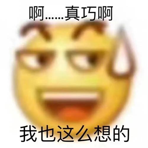 表情包我创死你