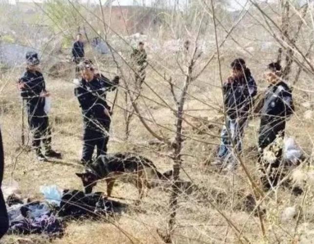 大案纪实:河南杞县割鸡狂魔韩卫星