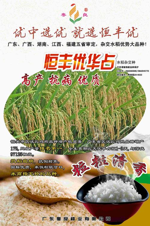 恒丰优华占