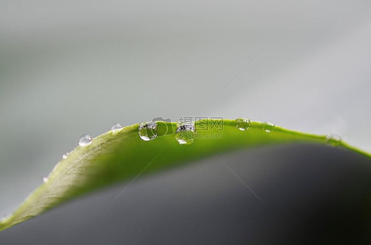 一滴水