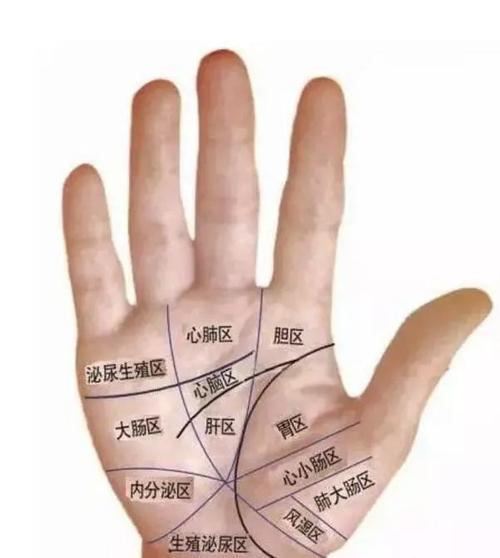 记住2张手掌对应图,这是基础.