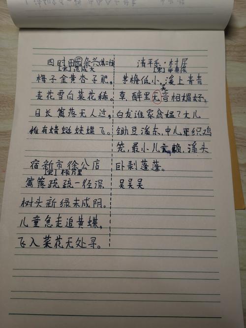 默写,听写生字,预习,日记,批注,积累.