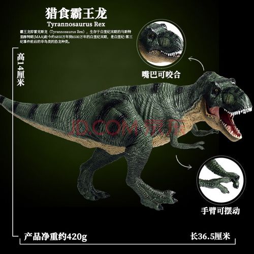 狂暴龙模型玩具霸王龙大号仿真实心雷克斯狂暴龙动物塑胶模型恐龙模