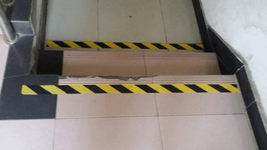 草坪里的大树和小树的旁枝,为了防止踏空,进主楼西门的楼梯贴了警戒线