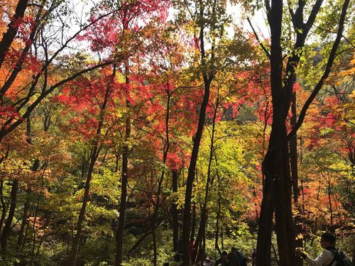 本溪关门山大峡谷