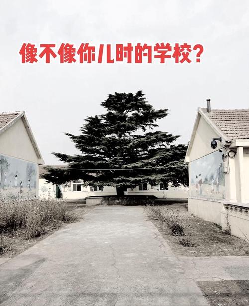 八零后的回忆小时候学校的样子一张张照片唤起70后