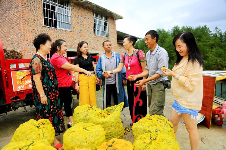 写美篇  董事长:余明莉  全盘负责   联系电话:13985764165