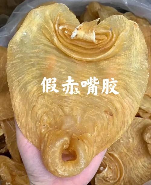 市场上各种各样的假赤嘴鱼胶,假赤嘴鳘鱼胶_鱼胶_医疗