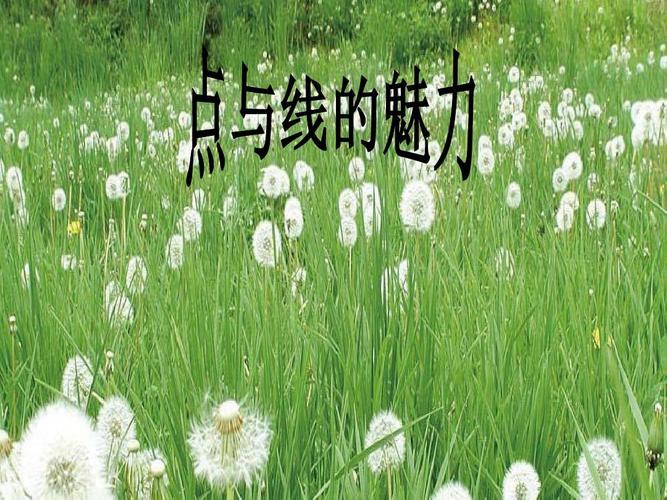 岭南版初中美术 3 点与线的魅力 课件 (5)ppt