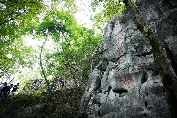 媒体记者参观瑞金云石山,这里被称为红军长征第一山