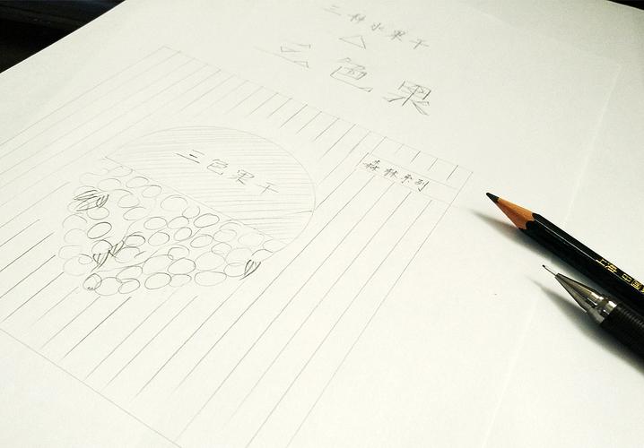 三色果干 - 倍骄 - 产品包装设计