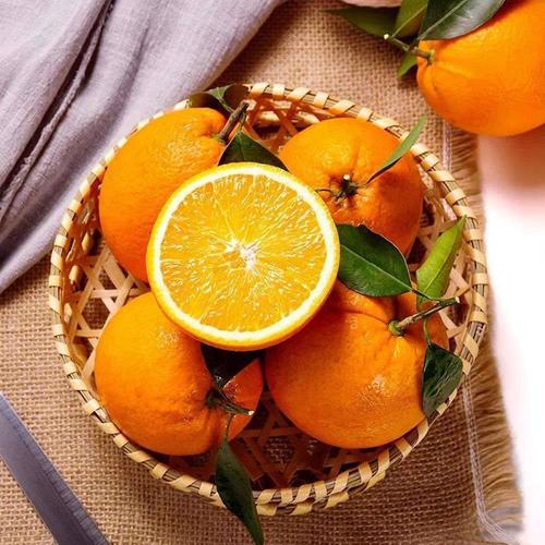 伦晚脐橙 秭归伦晚