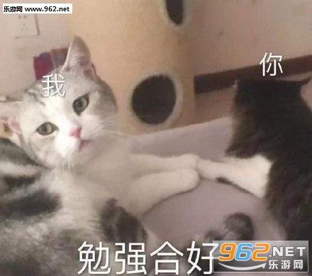 勉强和好表情包