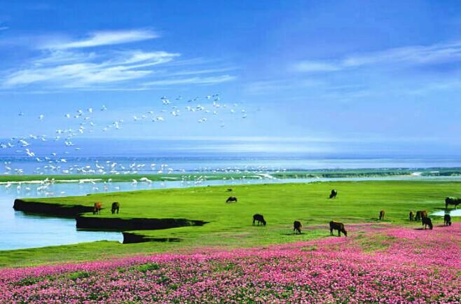 鄱阳湖国家湿地公园