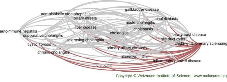 summaries for cholangitis, primary sclerosing
