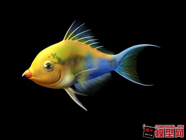 鹰嘴鱼-鱼类-动物-博沥神社-cg模型网