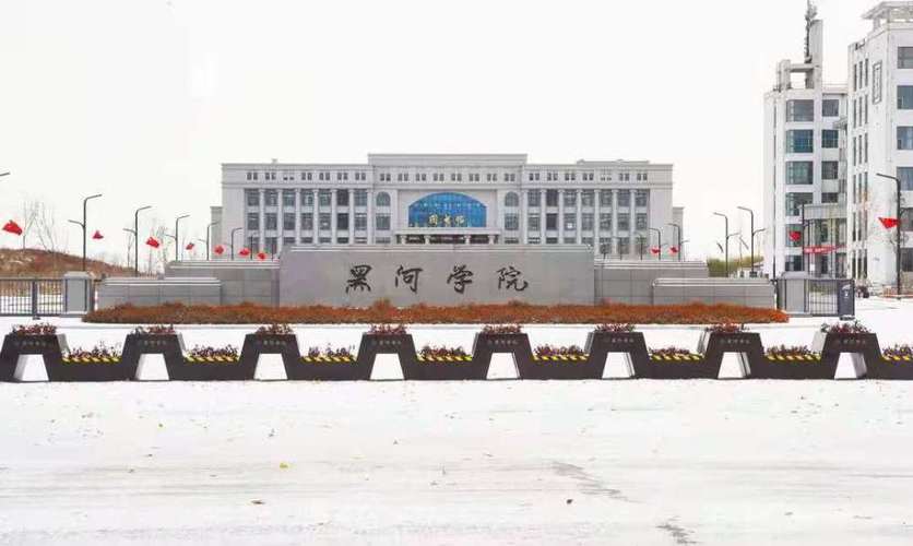 黑河爱辉区6天确诊105例 对话封闭中的黑河学院学生:宿舍上网课,双11