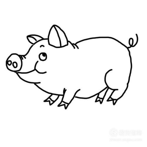 少儿简笔画之猪