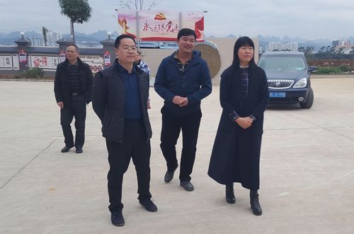 中共百色市委宣传部黄秋琴副部长到田阳县第九小学做检查指导工作